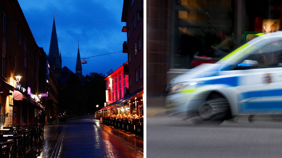 En 29-årig kvinnan har dömts för våld mot tjänsteman. 