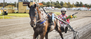 Visbytravets champion nummer 100 att nå 1000 segrar