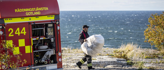 Oljeläckan: Sanering väntas klar efter lunch