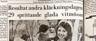 Studenten 1965: "Dramatiskt – men jag klarade det"