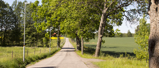 Bilväg till Djulö stängs av – ska bli cykelstråk