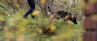 Försvunnen pojke hittad – återfanns i byggnad