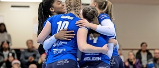 Stabil inledning av Norsjö Volley – nära två vinster