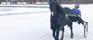 Nu får Rappodina se innerspåret