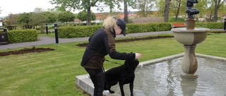 Emelie och Kajsa har hundparkour - på sitt skolschema