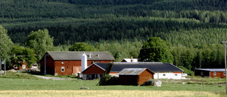 Tandlös lagstiftning om intrång på gårdar måste skärpas