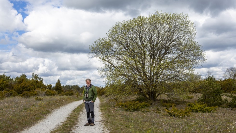 Niclas Ahlberg har funnit sitt paradis vid Sysne på Östergarnslandet. Därifrån har han gjort resor runt om på ön för att fotografera fåglar, men allra mest har han jagat ljuset. Han är aktuell med boken "Ljusets avsked & återkomst".