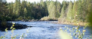 Varnar för höga flöden i Råneälven