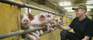 Böndernas biogasplaner ligger på is