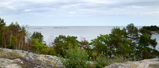 Söderköping går vidare med planerna på Bergön