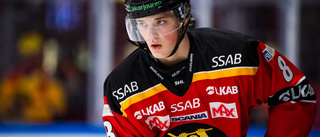 Luleåtalangen uppvaktas av 28 NHL-klubbar inför draften