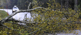 "Tusentals är fortfarande strömlösa"