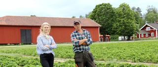 Skralt med jordgubbar till midsommar