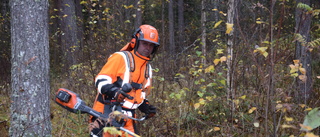 Erik tror på batterisågen