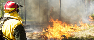 LIVE: Skogsbränder i Norrbotten