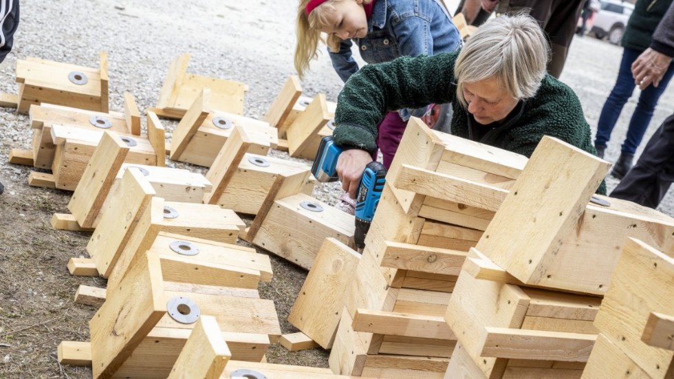 Pernilla Johansson, stadsträdgårdsmästare, skruvar fast hålskydd på holkarna. Till sin hjälp har hon med dottern Doris.