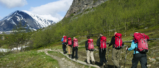 Stor ökning av besök i Abisko nationalpark