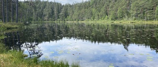 Nya Natura 2000-områden är hot mot landsbygden