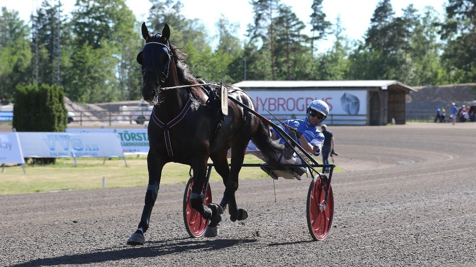 Vingåkersägda Policy of Truth startar i sista avdelningen i nyårsaftonens V75-trav på Axevalla.