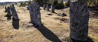 Bland kakor och slott i Mariefred