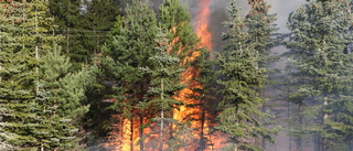 Stort pådrag vid omfattande gräsbrand