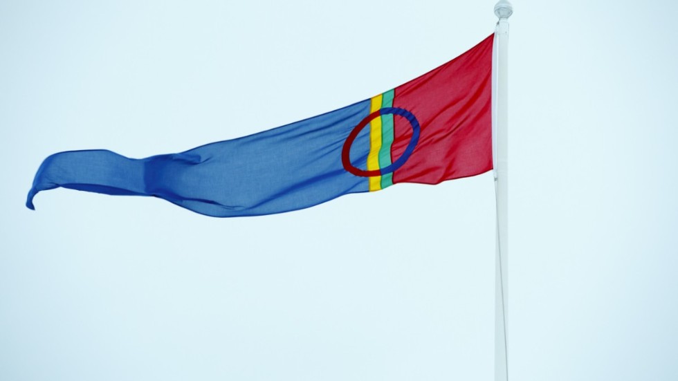 Girjasdomen rörde till det i rennäringslagen, därför ska staten nu göra en översyn. Bland annat kan man se över sprickan mellan samebyarna och icke renskötande samer.