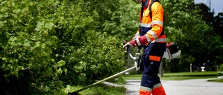 Liten ljusning kring feriejobben i kommunen