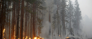 A-kasseregler kan leda till brist på brandmän