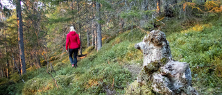 Vi behöver satsa mer på friluftslivet i länet