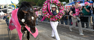 Allt du behöver veta om Elitloppet