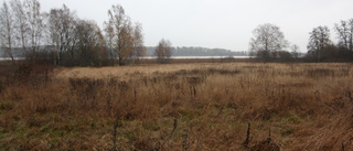 Ekuddens strandängar är olämpliga att bygga på