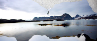 Insändare: Klimathotet – tillsammans kan vi göra skillnad