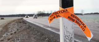 Bil bärgades från platsen efter viltolycka