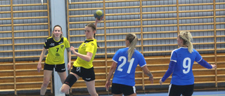 Hos VIF Gute Handboll finns ännu hopp om spel