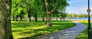 Vadstena borde satsa på lekplatsen i Hamnparken