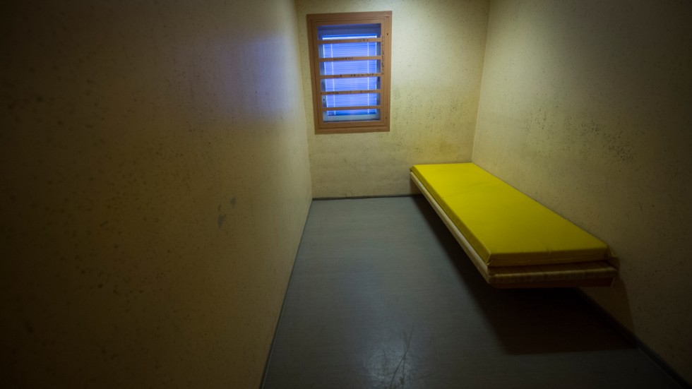 Kvinnan omhändertogs för berusning. I samband med avvisitering i polishusets arrestavdelning påstås hon ha gått till attack.