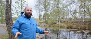 Strömmingen hänger på en skör tråd • Ändå tillåts hårdare fiske nästa år: "Som en smäll på käften"