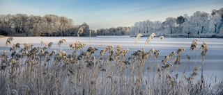 Naturens häpnadsväckande skönhet