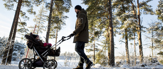 Robot: Så fördelas föräldradagarna