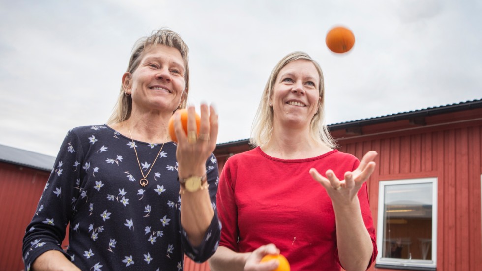 Dietisten Elisabet Drugge och sjukgymnasten Emma Ferronato höll på fredagen en föreläsning med syfte att inspirera gotlänningar till mer rörelse och hälsosam mat. 