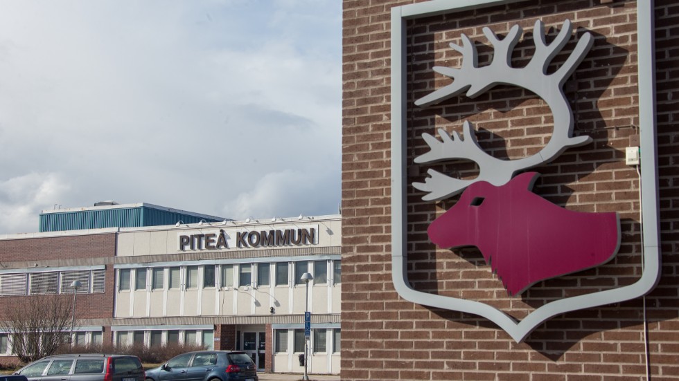 Piteå kommun ingår i samarbetet kring Treepower som bygger på utveckling av bioflygbränsle i Norrbotten.