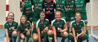 Tuntjejerna vann cup mot AIK  