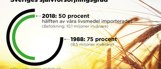 Kan säkra varannan tugga mat – på papperet