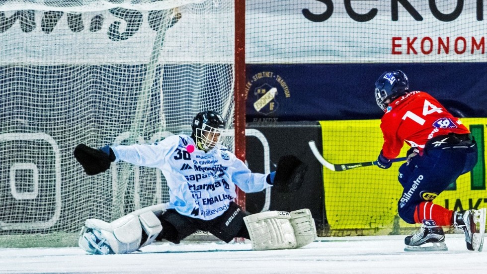 Joel Snäll