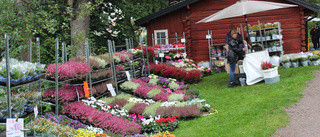 Trädgårdslust på Färgargården ställs in