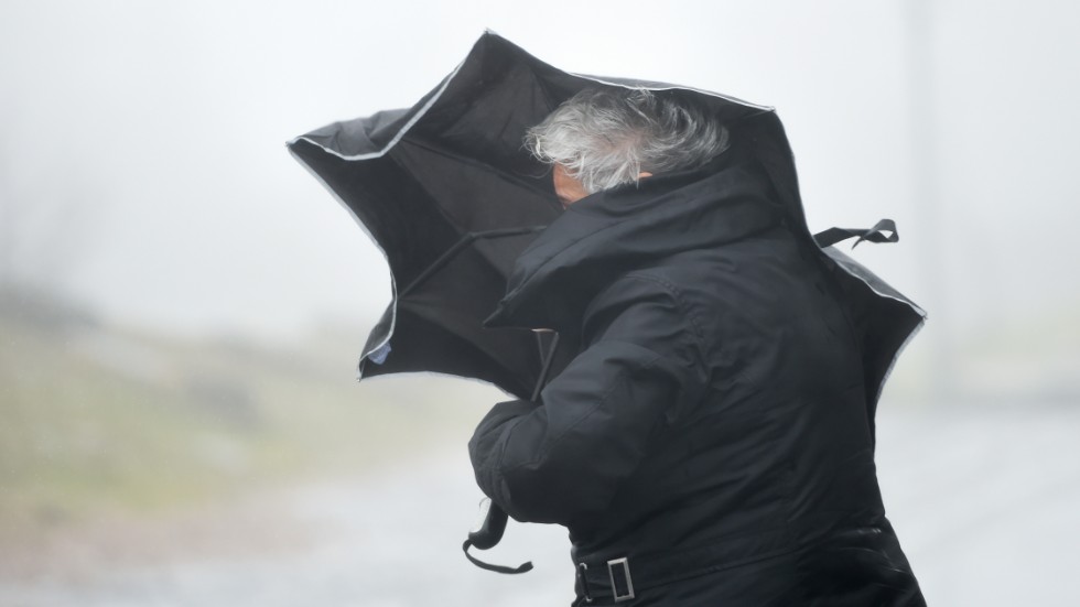 Södra Sverige får räkna med stormbyar under torsdagen. Arkivbild.