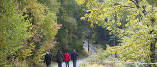 Coronans framfart orsakar inte bara död