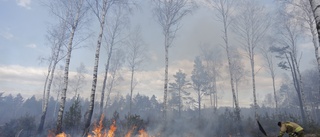 Gräsbrand spred sig – hotade skog