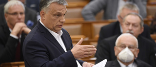 Stoppa Orbáns avdemokratisering