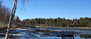 Läsarbilden: Det går undan nu  